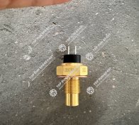 Water temperature sensor 3979176 (1)