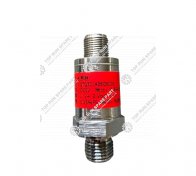 Pressure sensor 1021405018 (1)