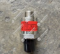 Pressure sensor 1021405018 (5)