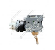 Ignition switch B241200000145 (2)