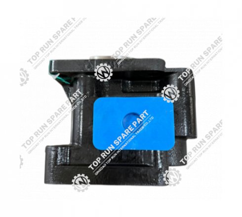 Variable Speed Pump 803007492