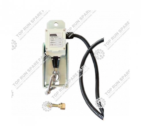 Limit switch 1020521588