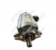 3.Gear Motor 60333703 for SANY Truck Crane Parts