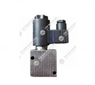 Solenoid valve 1010300140 (4)