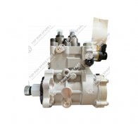 Fuel injection pump assembly 1002874672 (1)