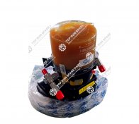 3.Lubrication pump assembly for Sany Crane