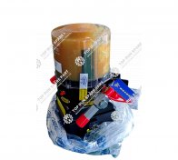 1.Lubrication pump assembly for Sany Crane