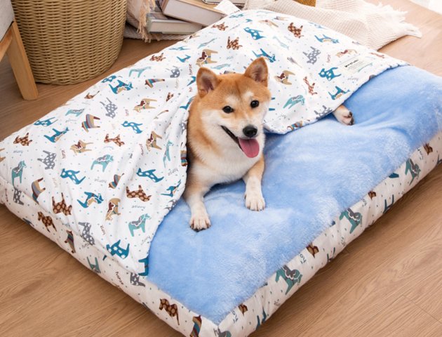 Pet bed