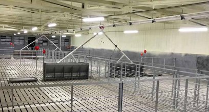 Enhanced Pig Growth with Finisher Stalls: Prioritizing Comfort and Safety | DEBA BROTHERS®