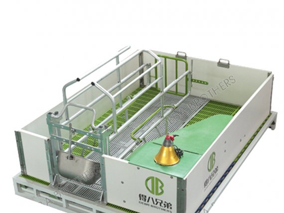 WELSAFE Farrowing Pen for Loose Sows_ Enhancing Animal Welfare and Farming Benefits1