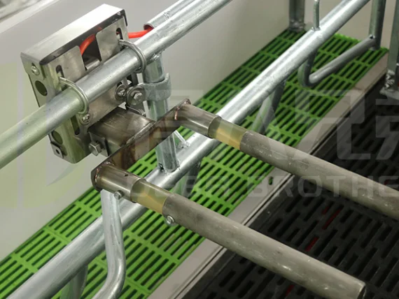 Lift Farrowing Crate4