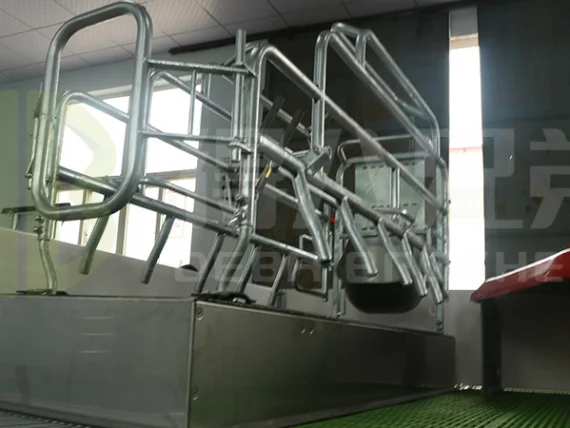 Lift Farrowing Crate3