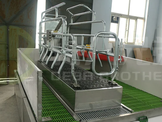 Lift Farrowing Crate2