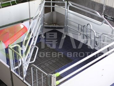 DEBA Brother's Welsafe Farrowing Crate: Optimal Protection for Sows and Piglets