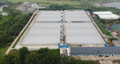 Maximizing Pig Farming Efficiency: Advanced Liquid Feeding Systems for Anhui Xintai's 3000 Pig Fattening Project