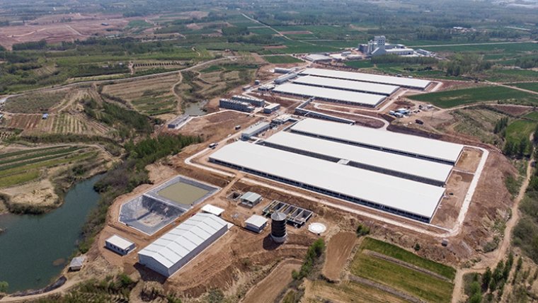 This is a joint project between Deba brother and the local government