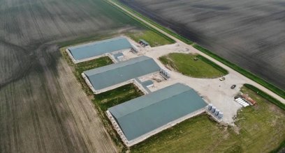 Local Raw Materials: The Core Synergies and Value Advantages of Liquid Feeding in Pig Farms