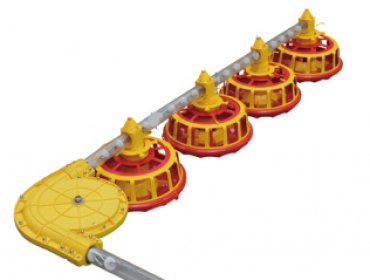 Breeding chickens floor-rearing system
