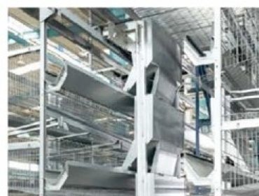 Broiler cage