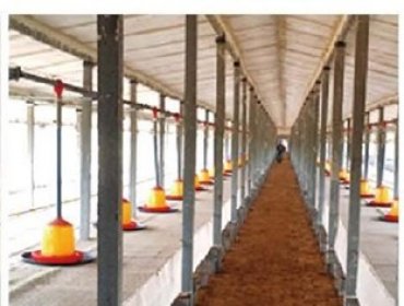 Disk chain feeding system