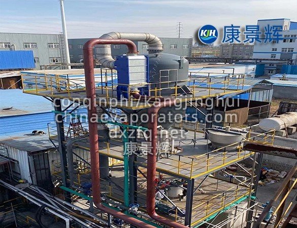 High-Purity Sodium Chloride Crystallization Module