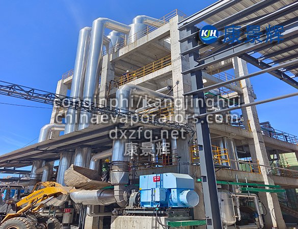 Sodium Sulfate MVR Single-Effect Evaporator2