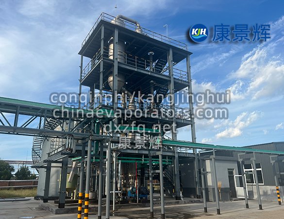 Sodium chloride single-effect evaporator