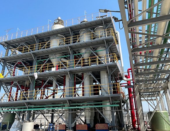 9t/h Sodium Chloride Dual-Effect MVR Evaporation Crystallization System