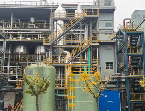 2t/h Sodium Chloride MVR + Mother Liquor Drying Evaporation Crystallization System