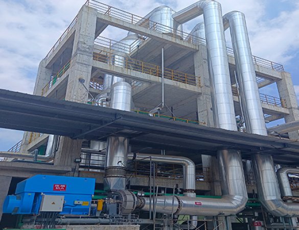 Sodium Sulfate MVR Single-Effect Evaporator