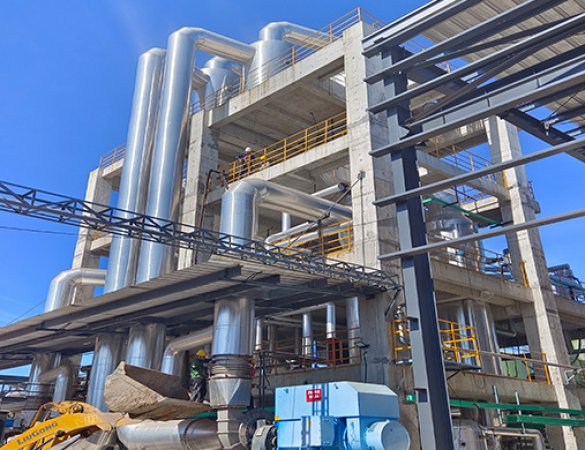 Sodium Sulfate MVR Single-Effect Evaporator