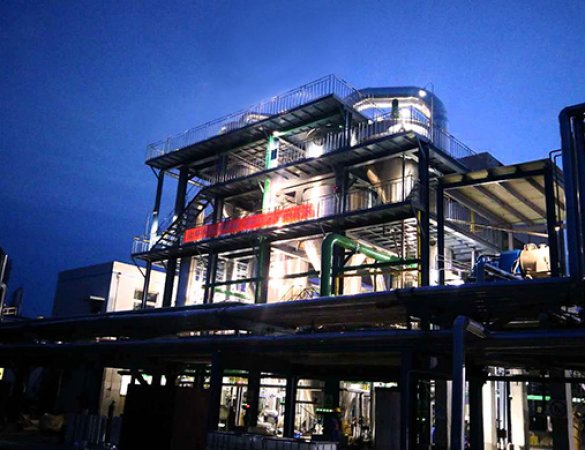 30t/h Ammonium Sulfate and Ammonium Chloride Triple-Effect Evaporation Crystallization System