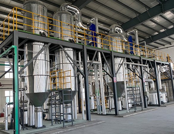 8m³/h triple-effect fermentation broth concentration + dual-effect organic product recovery system