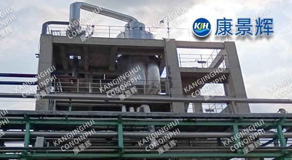 1t/h Sodium hydrosulfide single-effect evaporation and concentration equipment