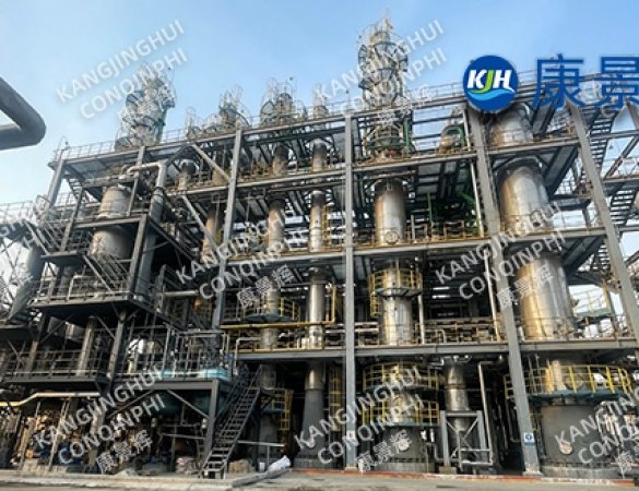 6t/h Acetic Acid Concentration and Phosphorus Removal Triple-Effect Evaporation System for Phosphorus-Containing Wastewater