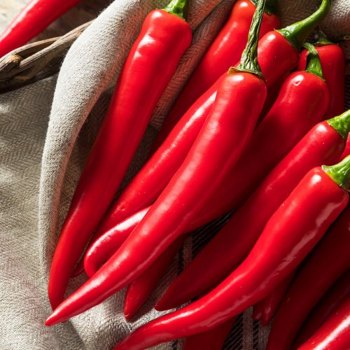 Red Pepper