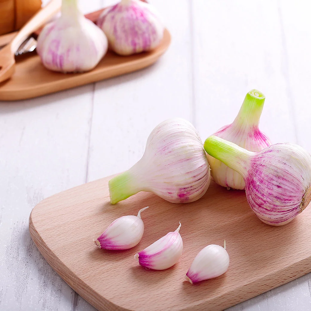 未标题-2_0011_Garlic