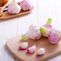 未标题-2_0011_Garlic