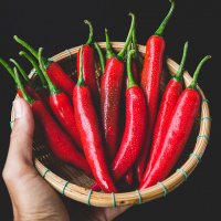未标题-2_0009_red pepper (2)