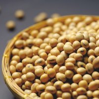 未标题-2_0000_soybean (2)