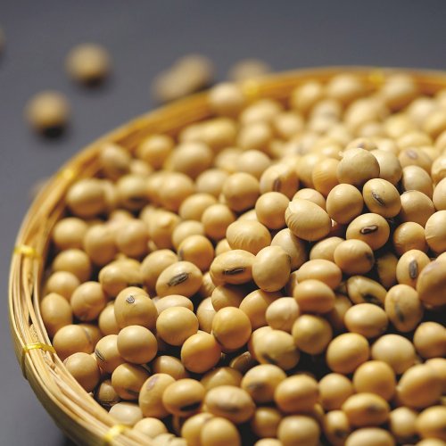 Soybeans