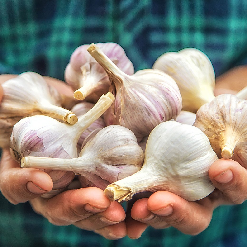 大蒜