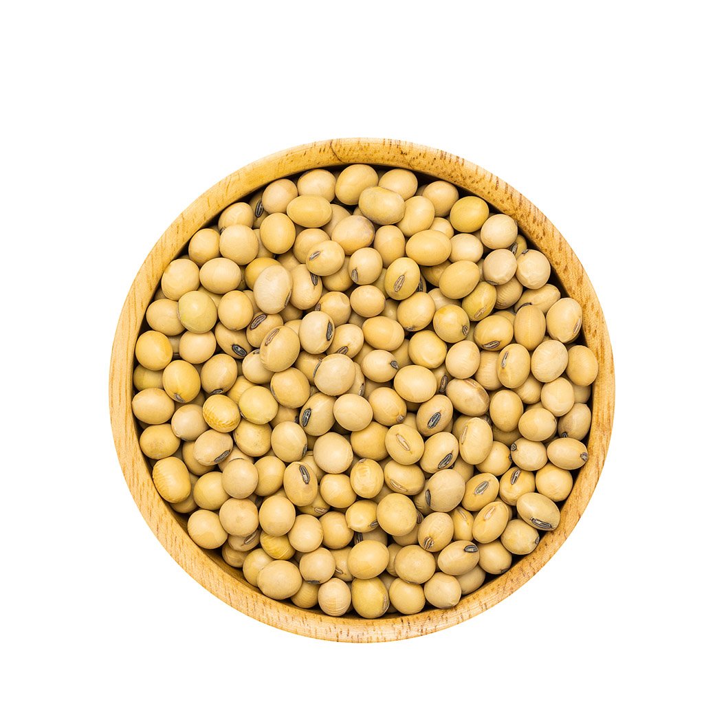 未标题-2_0002_soybean (3)