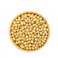 未标题-2_0002_soybean (3)