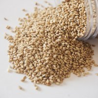 未标题-2_0006_Raw white sesame seeds (2)