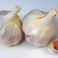 未标题-2_0013_Garlic (2)