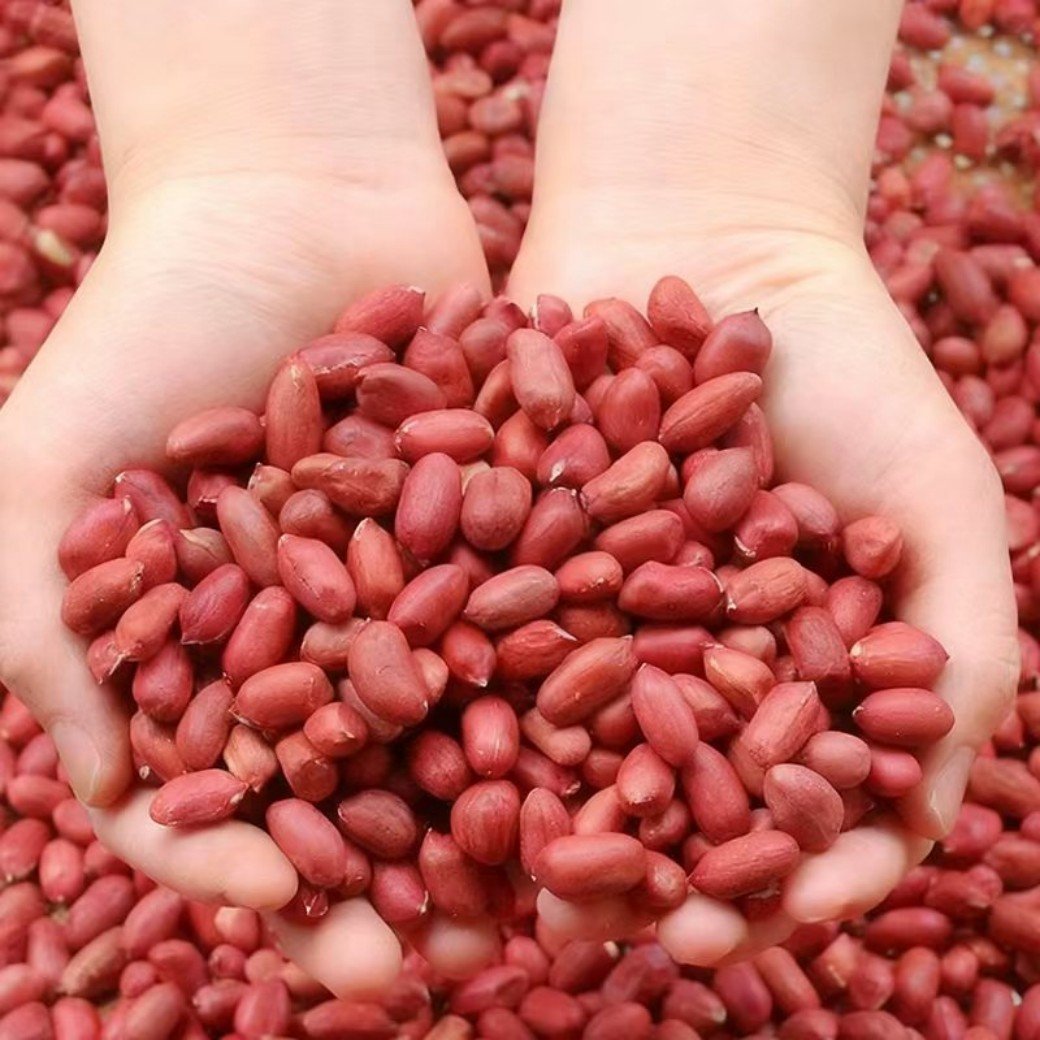 8e5df59c5fe4a79fd86d471edf47f3cc