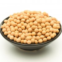 黄豆4