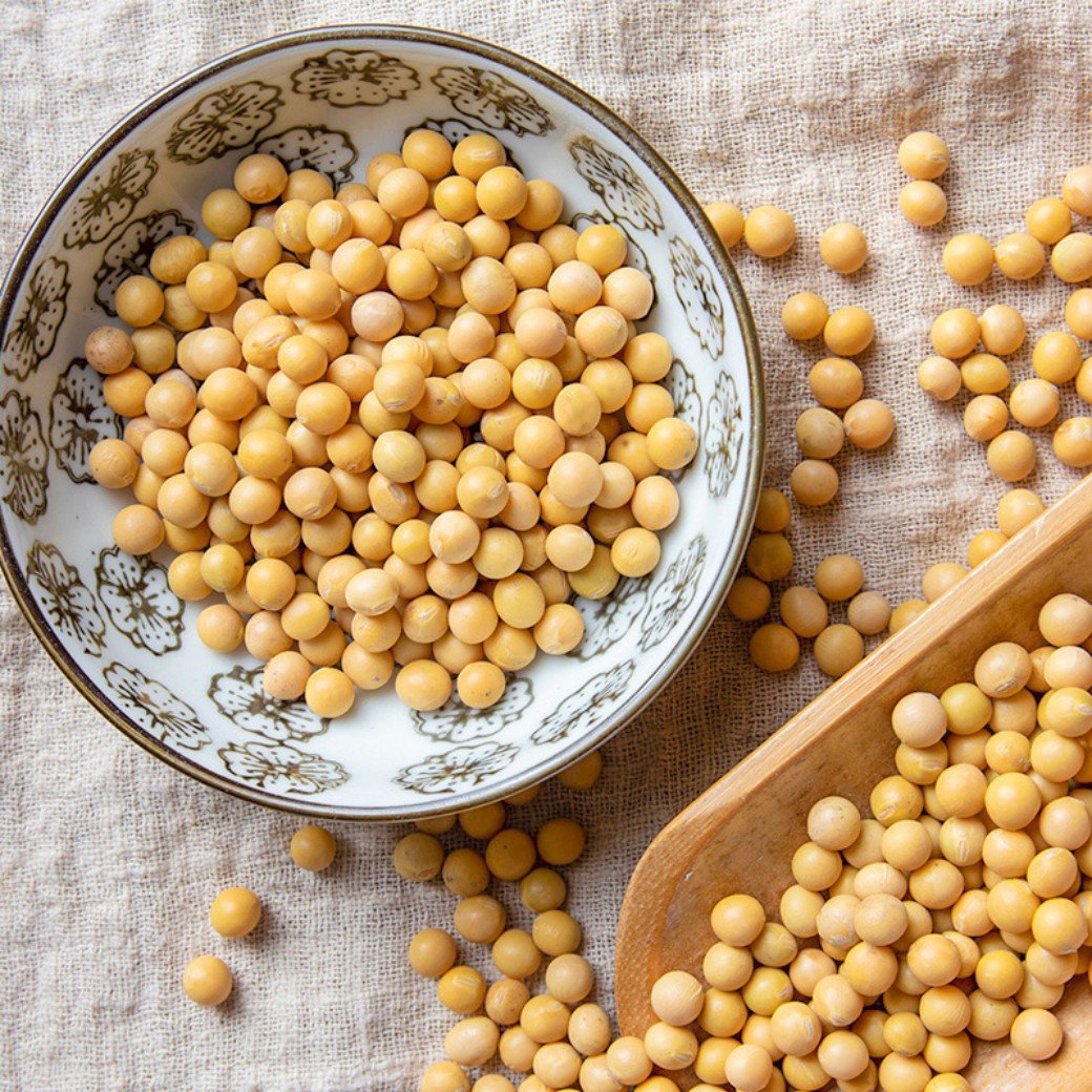 黄豆5
