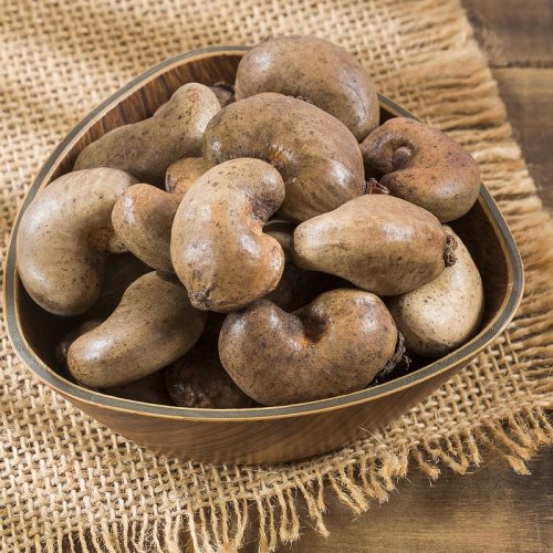 Raw In-Shell Cashew Nuts, Mozambique Origin